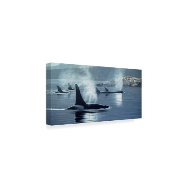 Ron Parker 'Morning Mist' Canvas Art,24x47